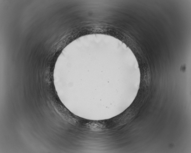 X0000115230512200912111034