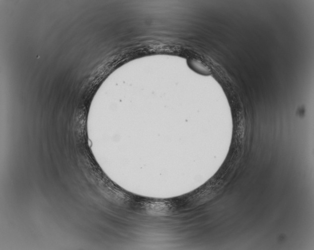 X0000115230513200912111033