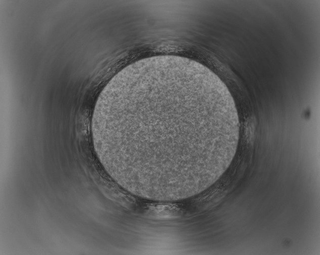 X0000115230517200912111033