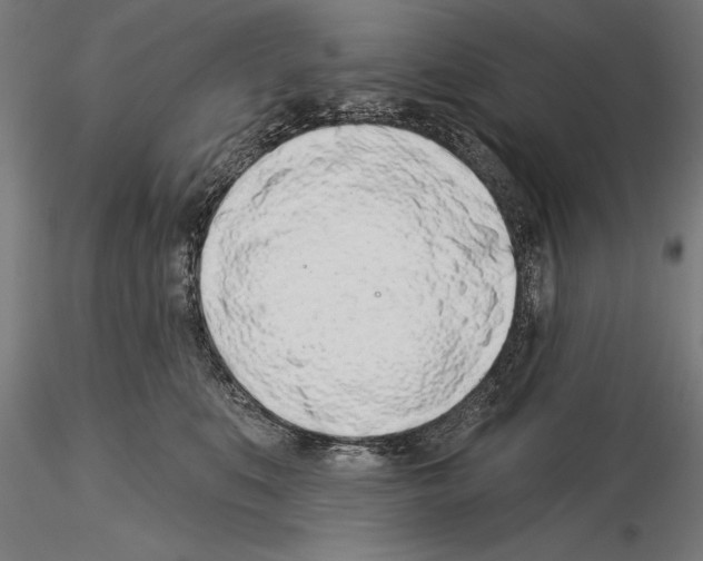 X0000115230519200912111033