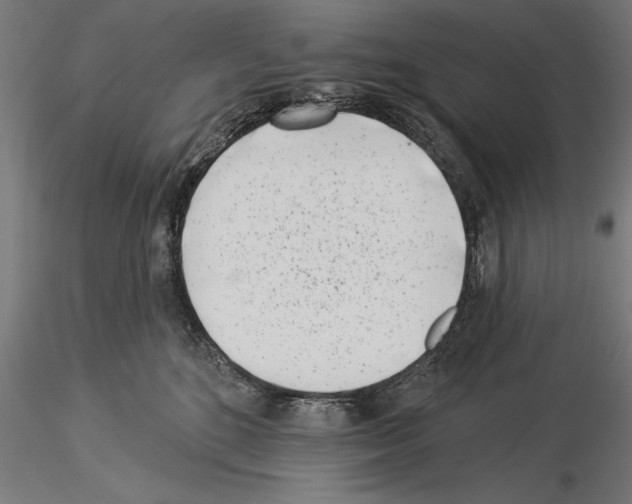 X0000115230520200912111033