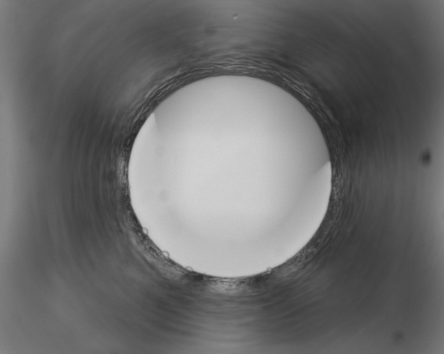 X0000115230521200912111033