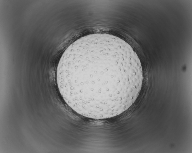 X0000115230523200912111033