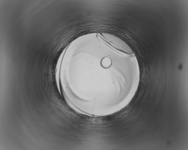 X0000115230524200912111033