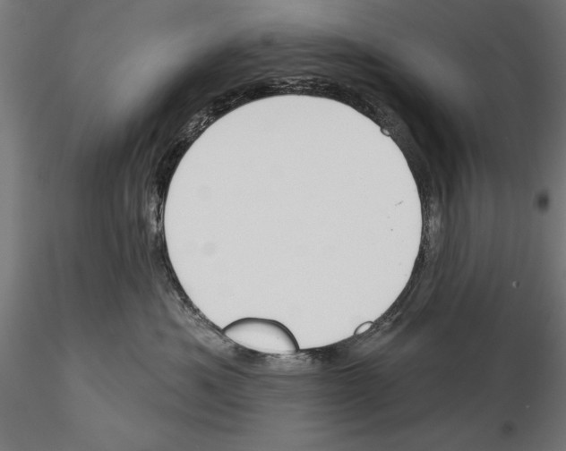 X0000115230525200912111033