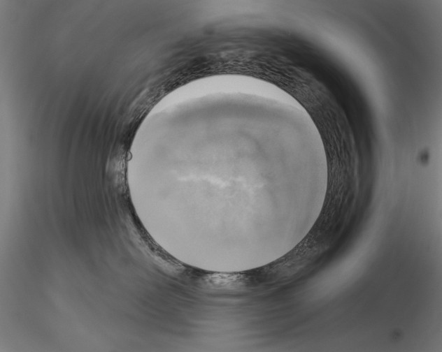 X0000115230526200912111033