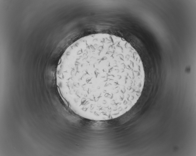 X0000115230527200912111033