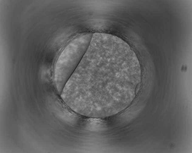 X0000115230528200912111033