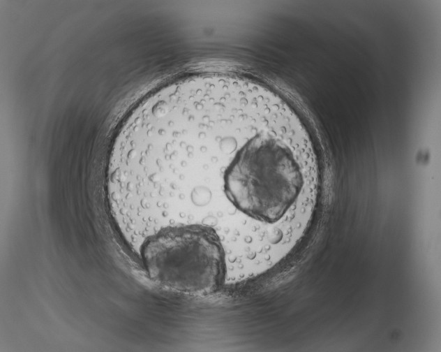 X0000115230529200912111032