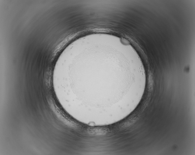 X0000115230533200912111033