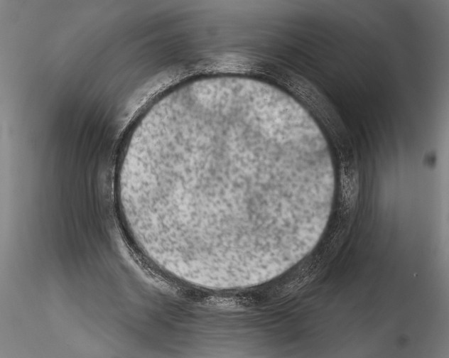 X0000115230534200912111033