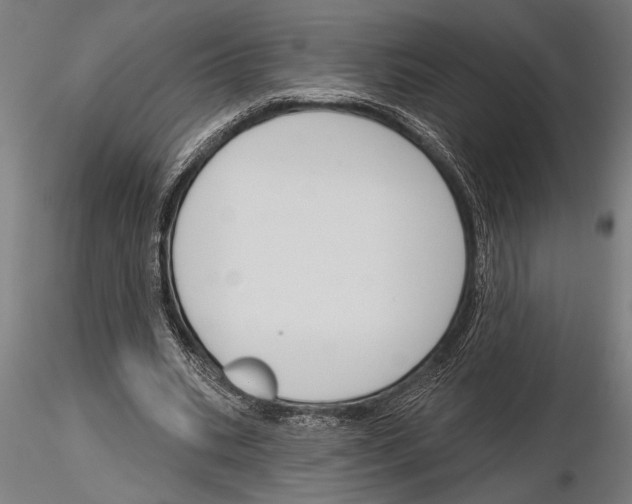 X0000115230535200912111033