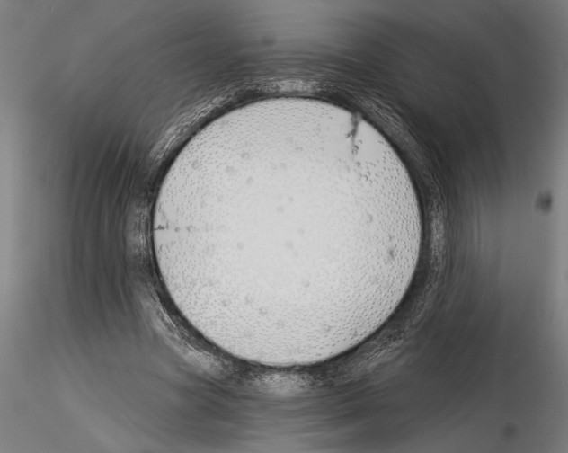 X0000115230537200912111033