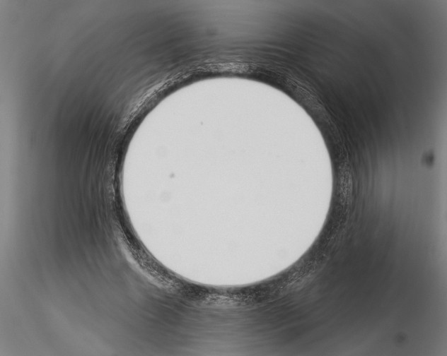 X0000115230538200912111033