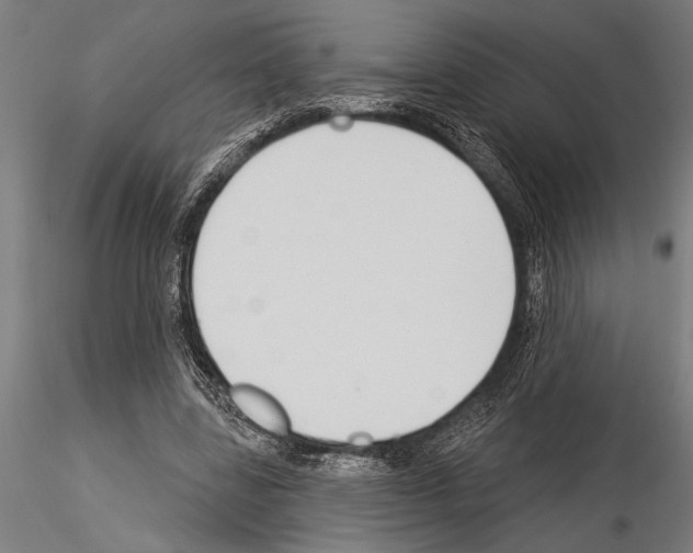 X0000115230539200912111033