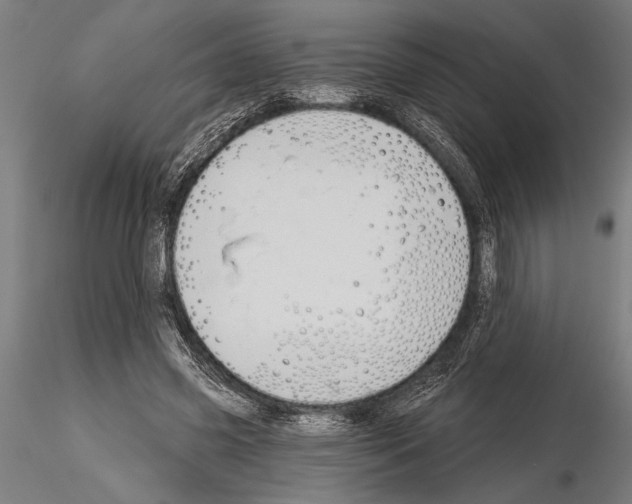 X0000115230541200912111033