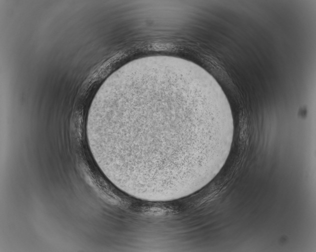 X0000115230542200912111033