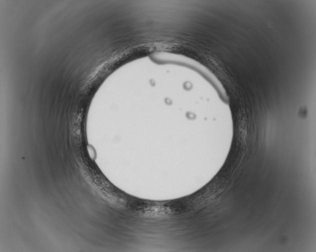 X0000115230543200912111033