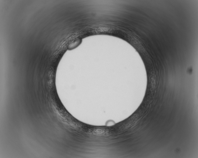 X0000115230546200912111033