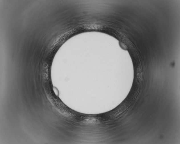 X0000115230547200912111033