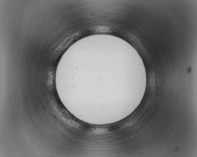 X0000115230549200912111033