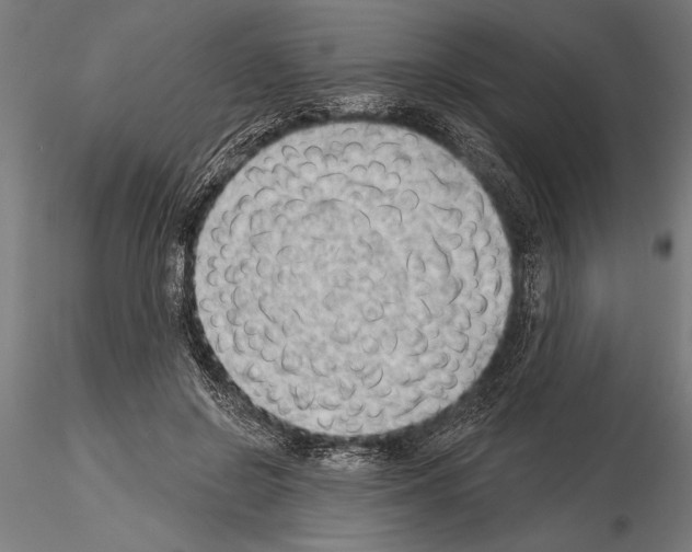 X0000115230550200912111033