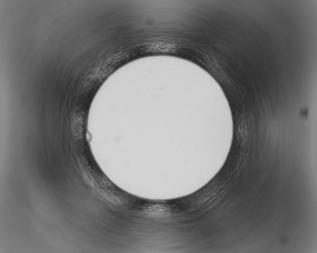 X0000115230551200912111033