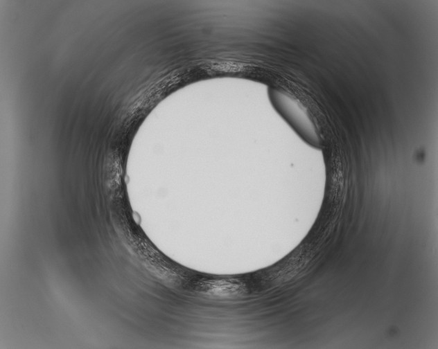 X0000115230555200912111033