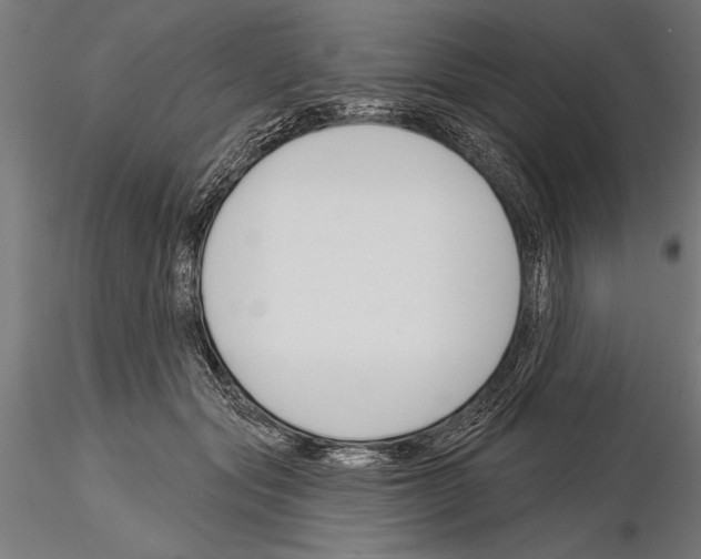 X0000115230557200912111033