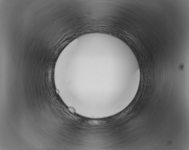 X0000115230558200912111033