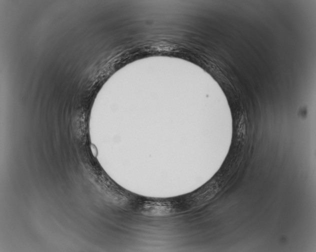 X0000115230559200912111033