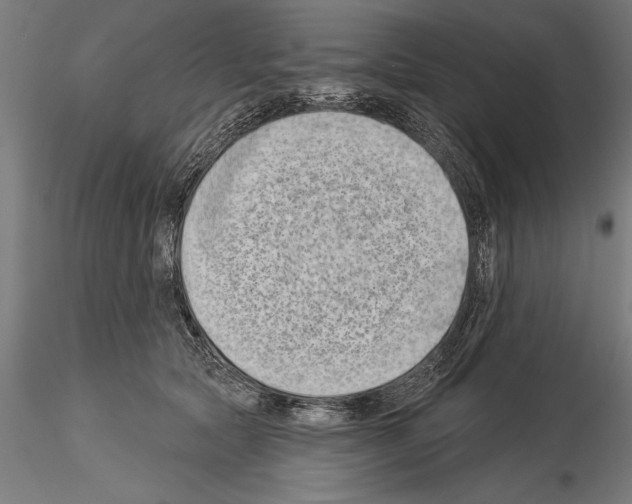 X0000115230561200912111033