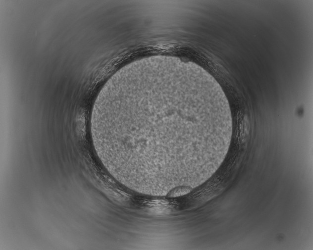 X0000115230562200912111033