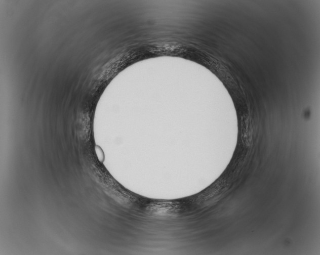 X0000115230563200912111033