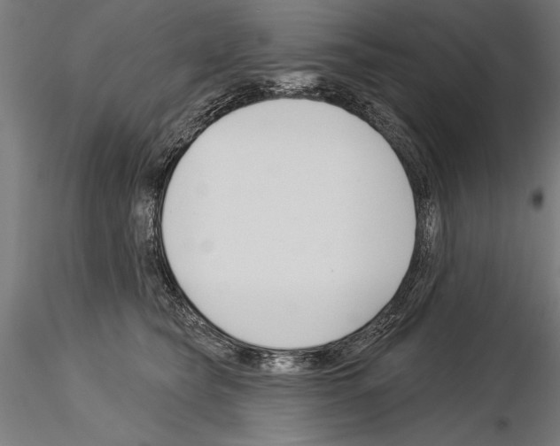 X0000115230565200912111033