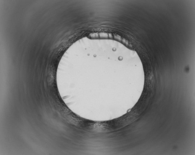 X0000115230566200912111033