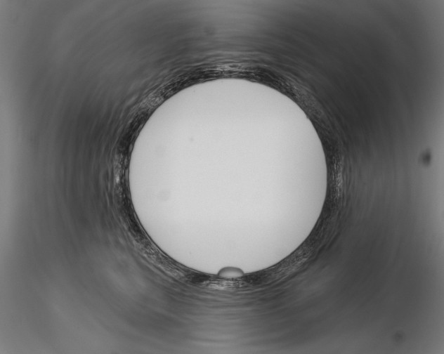 X0000115230567200912111033