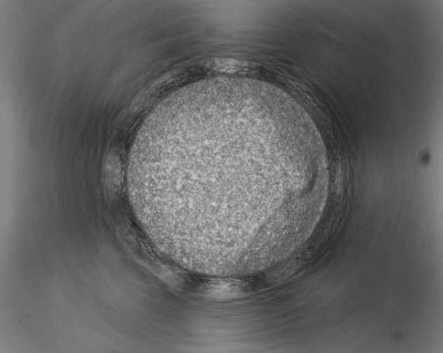 X0000115230569200912111033