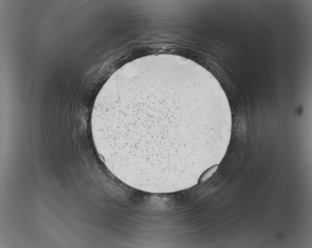 X0000115230570200912111033