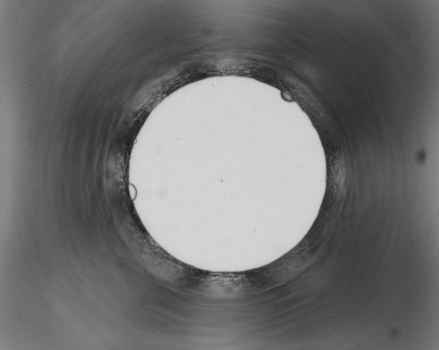 X0000115230571200912111033