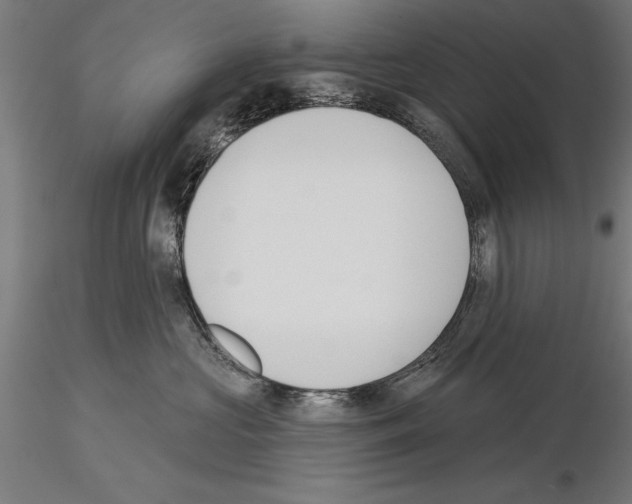 X0000115230573200912111033