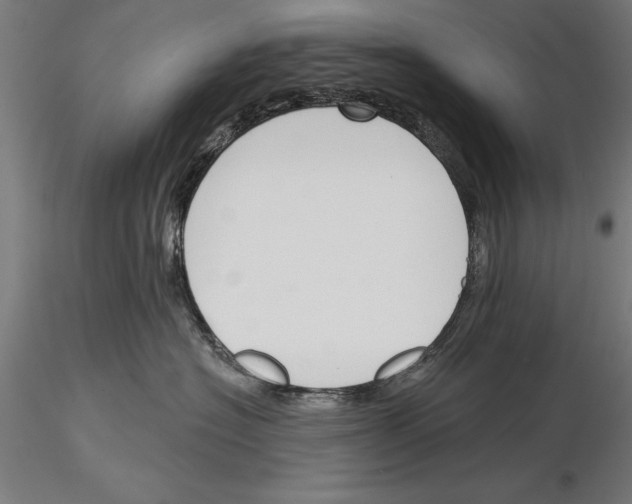 X0000115230574200912111033