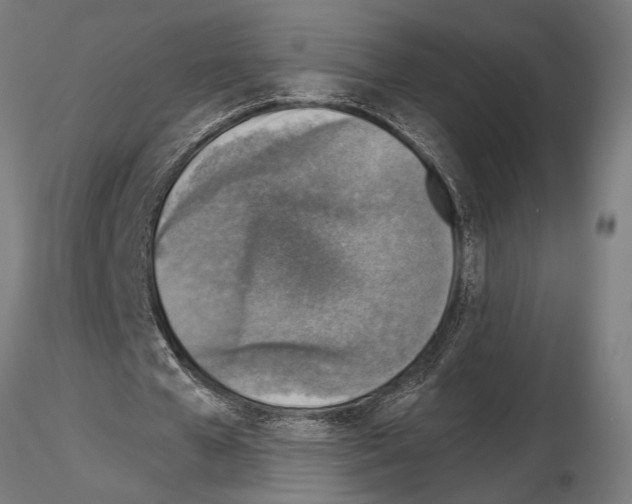 X0000115230577200912111032