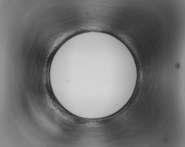 X0000115230578200912111032