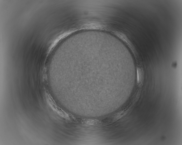 X0000115230579200912111032