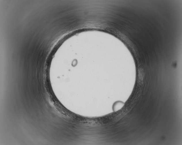 X0000115230580200912111032