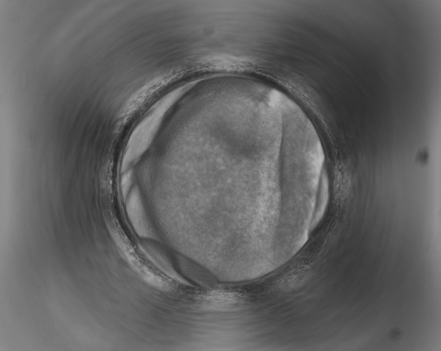 X0000115230581200912111032