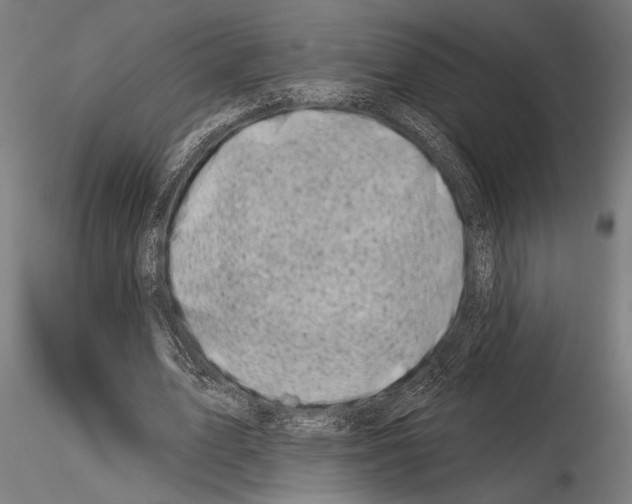 X0000115230583200912111032