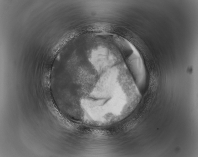 X0000115230585200912111032