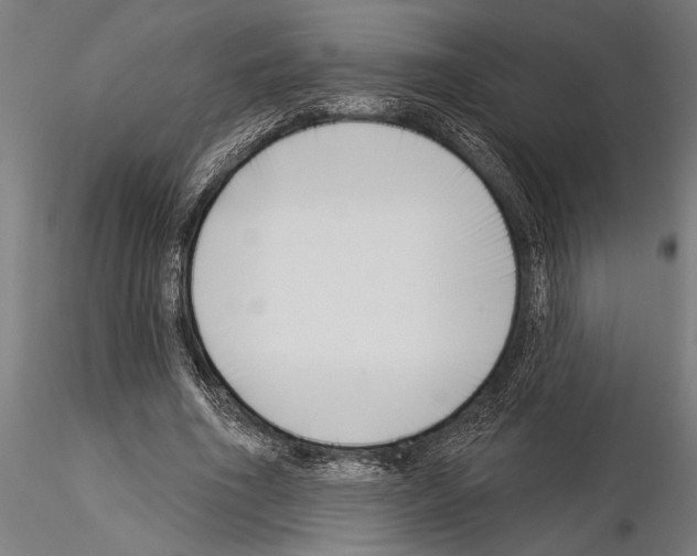 X0000115230586200912111032